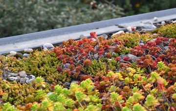 the cost of Hazelslade green roof installation