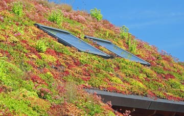 Hazelslade living roof systems