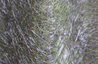 Hazelslade fibreglass roof work